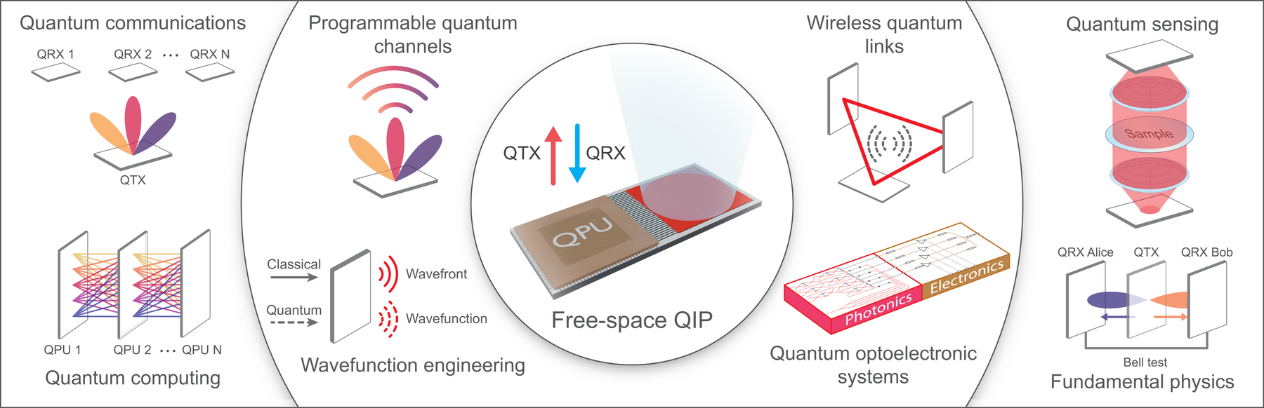 Free-space quantum information processing with quantum phased arrays and its applications