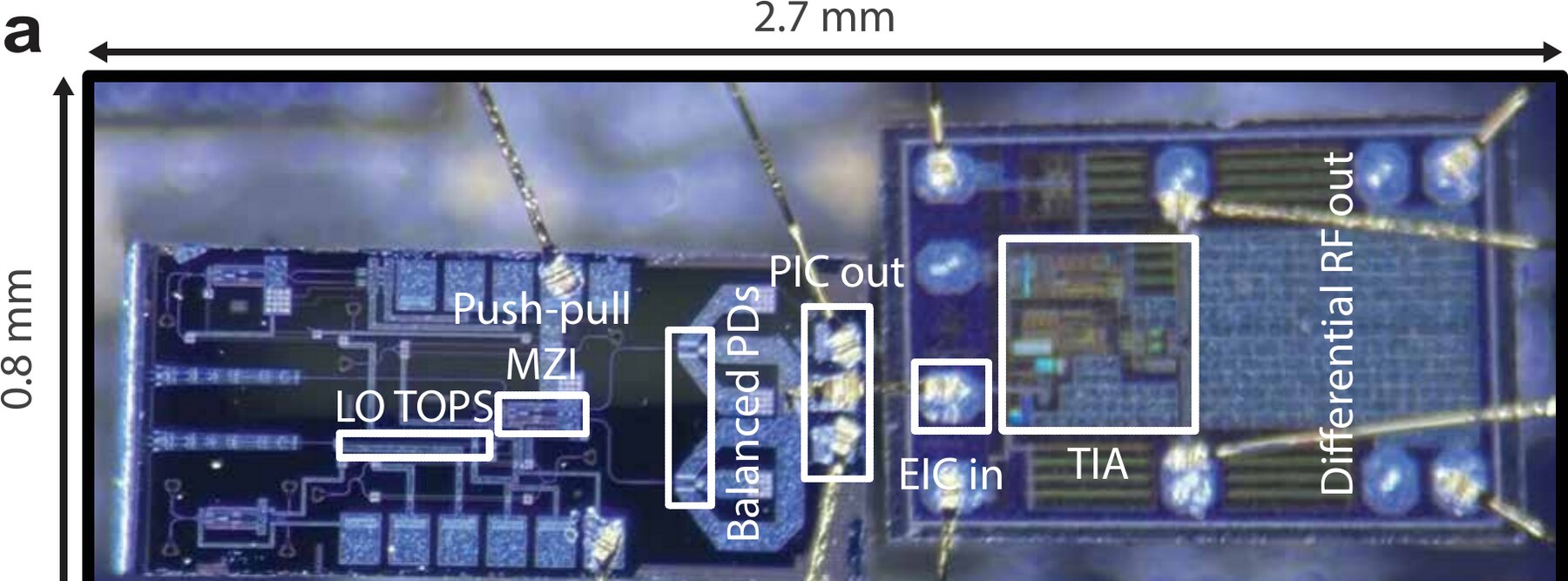 Micrograph of the integrated photonic-electronic quantum coherent receiver